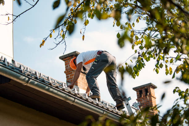 Best EPDM Roofing  in Clinton, IL